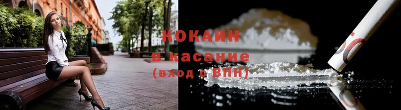 darknet наркотические препараты  Каменка  КОКАИН Эквадор 