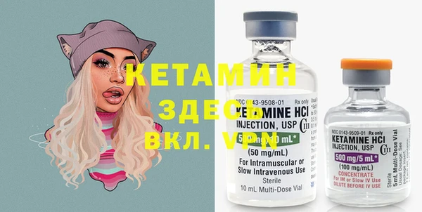 шишки Нягань