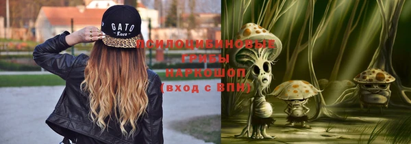 spice Няндома