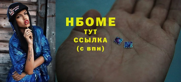 шишки Осташков