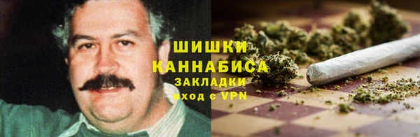шишки Осташков