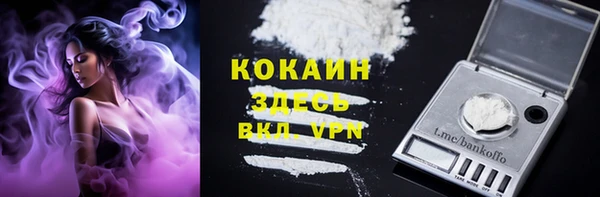 spice Няндома