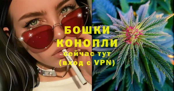 шишки Осташков