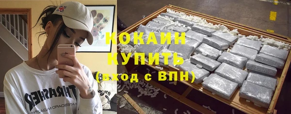 spice Няндома