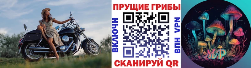 Псилоцибиновые грибы мухоморы  Каменка 