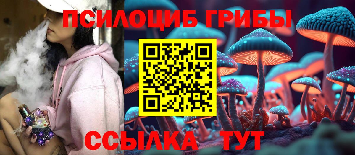 что такое   Вход с VPN  Каменка  Псилоцибиновые грибы мухоморы 