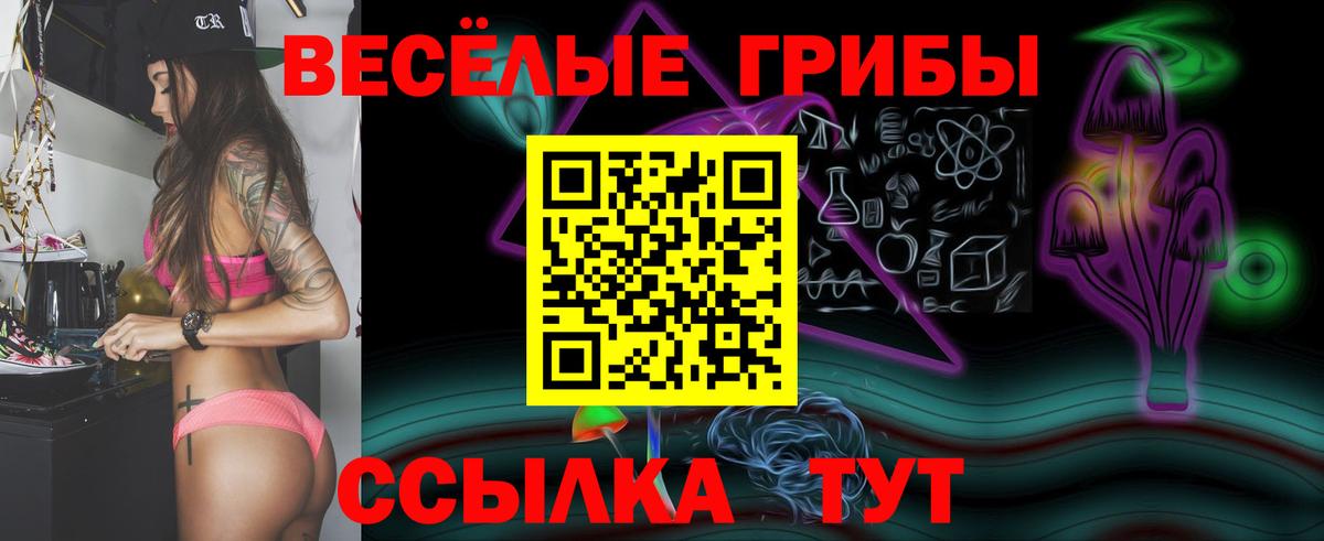 Псилоцибиновые грибы прущие грибы Каменка